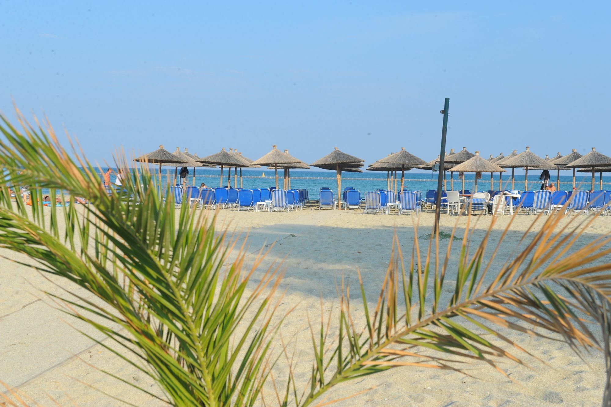 Hotel Platon